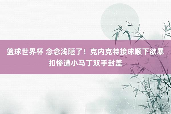 篮球世界杯 念念浅陋了！克内克特接球顺下欲暴扣惨遭小马丁双手封盖