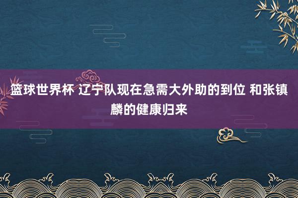 篮球世界杯 辽宁队现在急需大外助的到位 和张镇麟的健康归来