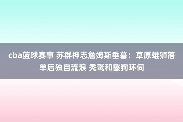 cba篮球赛事 苏群神志詹姆斯垂暮：草原雄狮落单后独自流浪 秃鹫和鬣狗环伺