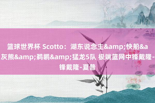 篮球世界杯 Scotto：湖东说念主&快船&灰熊&鹈鹕&猛龙5队 极端篮网中锋戴隆-夏普